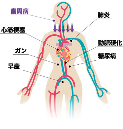 健康は健口から